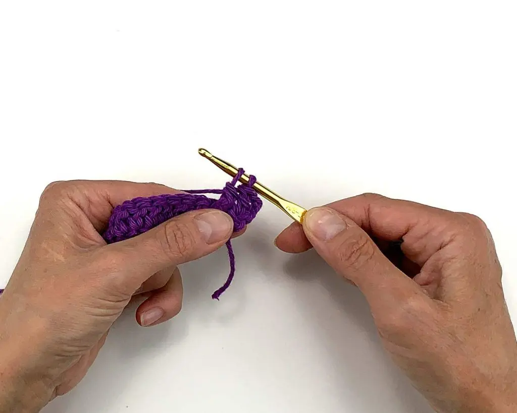 image of hands holding a crochet hook with two loops